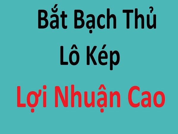 cach-bat-bach-thu-lo-kep